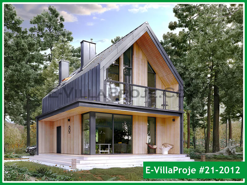 Ev Villa Proje #21 - 2012