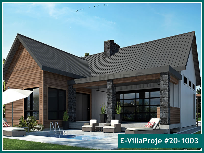 Ev Villa Proje #20 - 1003 Ana Görsel